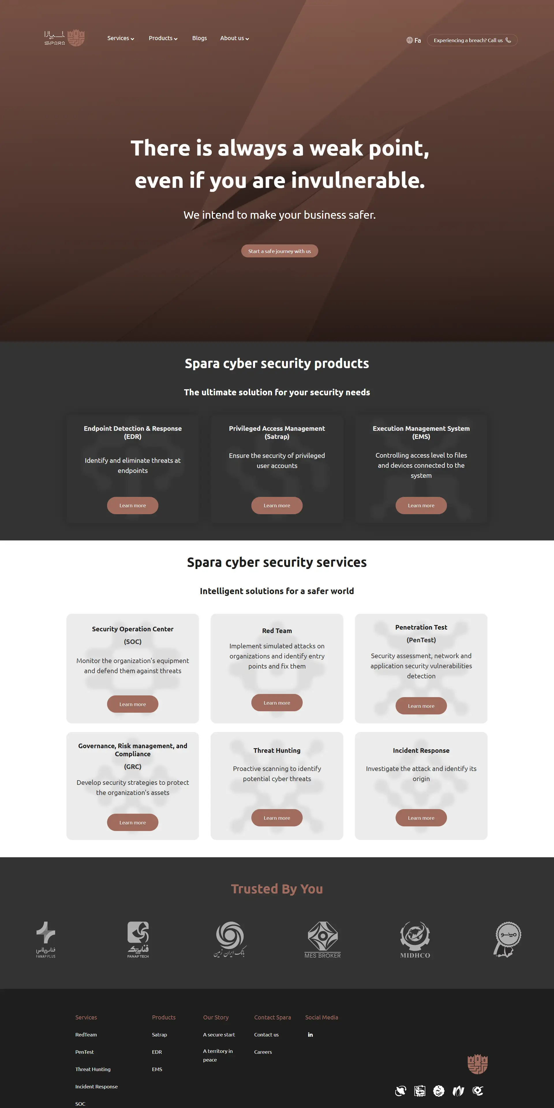 Collaboration in Spara's Landing Website Development